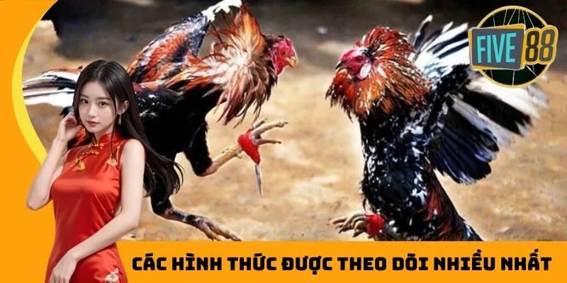 Các hình thức được theo dõi nhiều nhất