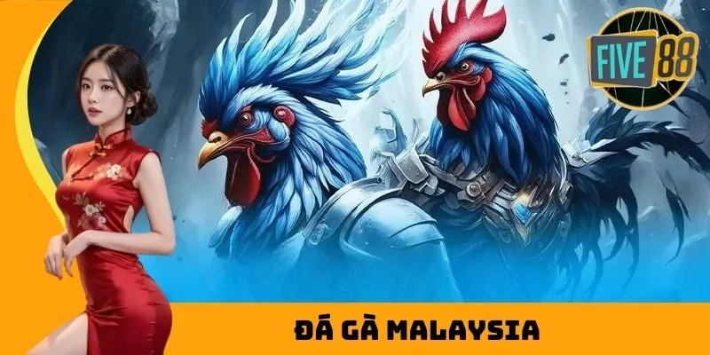 đá gà malaysia