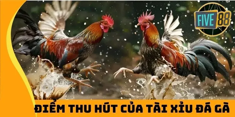 Điểm thu hút của tài xỉu đá gà