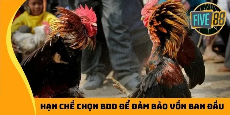 Hạn chế chọn BDD để đảm bảo vốn ban đầu