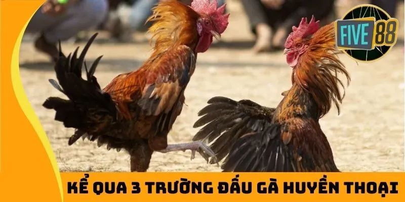 Kể qua 3 trường đấu gà huyền thoại