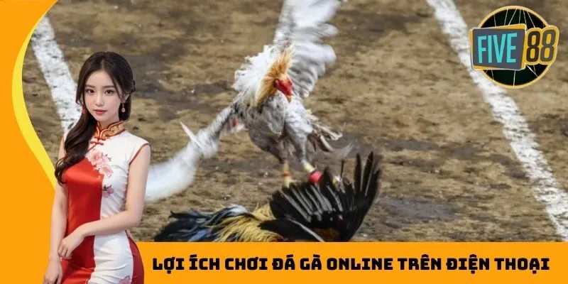 Lợi ích chơi đá gà online trên điện thoại