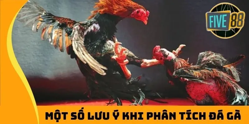 Một số lưu ý khi phân tích đá gà