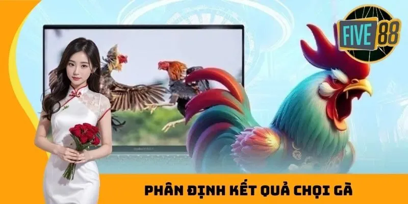 Phân định kết quả chọi gà