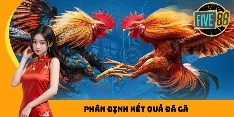 Phân định kết quả đá gà