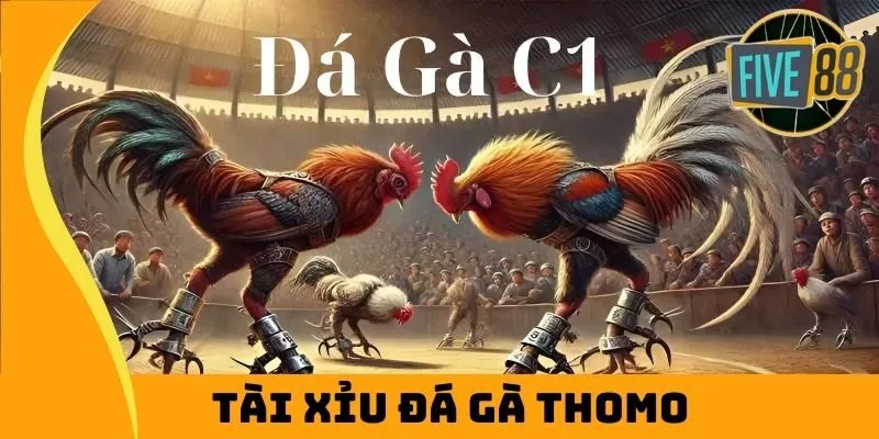 tài xỉu đá gà thomo