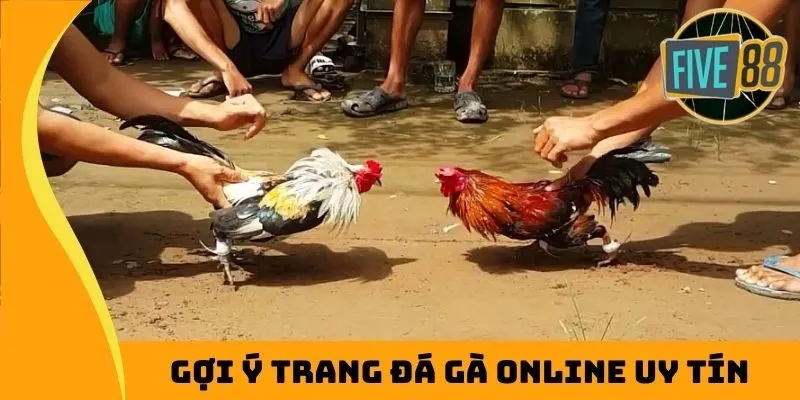 Tham khảo trang đá gà online uy tín