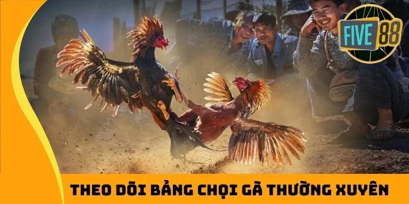 Theo dõi bảng chọi gà thường xuyên