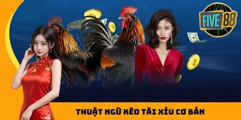 Thuật ngữ kèo tài xỉu cơ bản