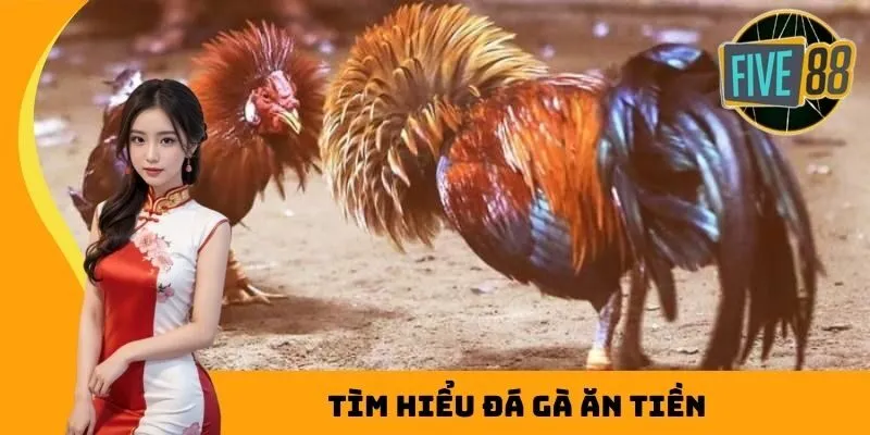 Tìm hiểu đá gà ăn tiền