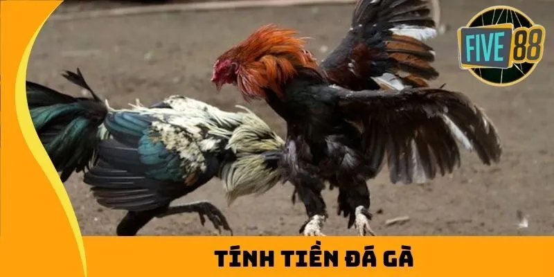 tính tiền đá gà