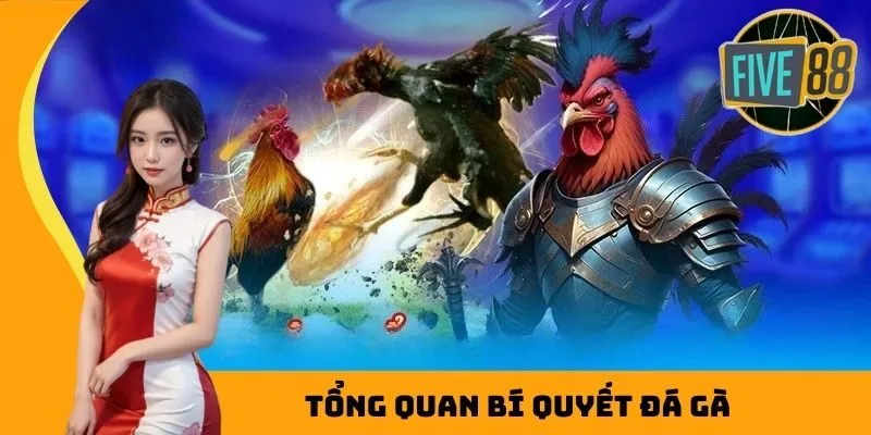 Tổng quan bí quyết đá gà