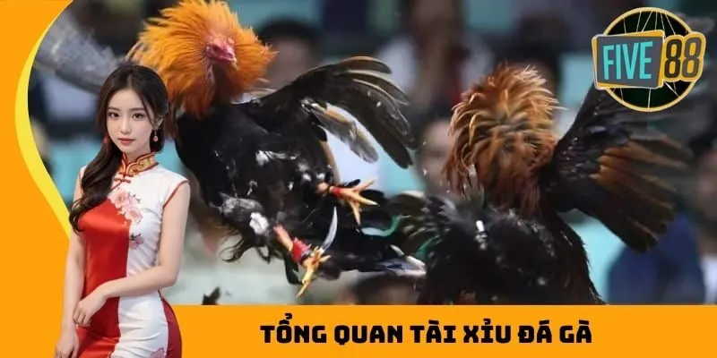 Tổng quan tài xỉu đá gà