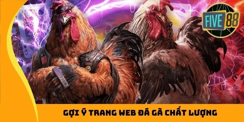 Top 1 trang web đá gà trực tuyến chất lượng