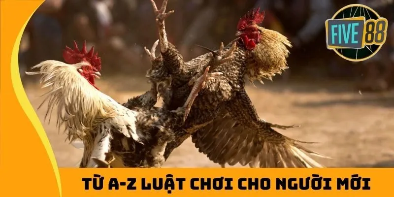 Từ A-Z luật chơi cho người mới