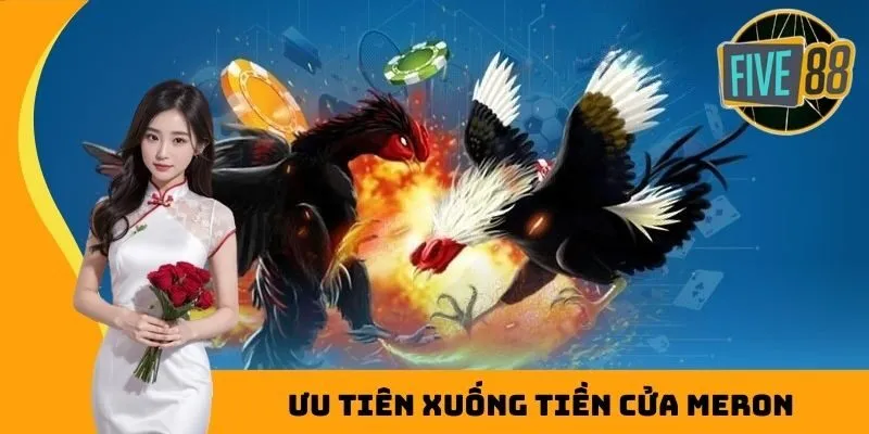 Ưu tiên xuống tiền cửa Meron