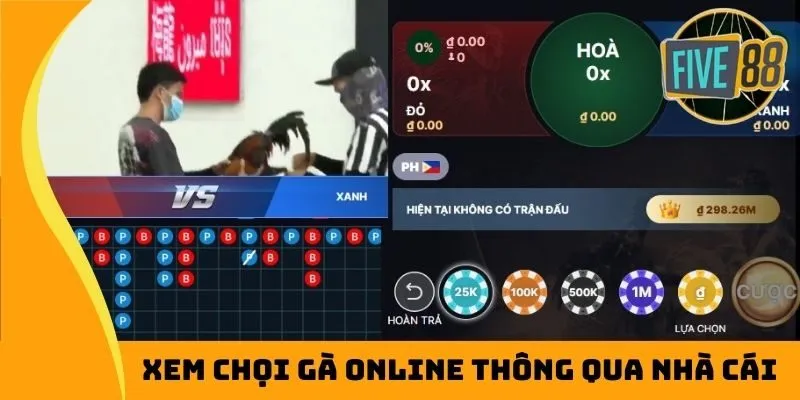 Xem chọi gà online thông qua nhà cái