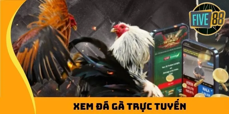 xem đá gà trực tuyến